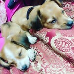Lili&Max - @lili.max20 - Instagram