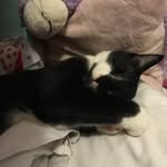 Lili Mai Jennings Murray - @lilimai2006 - Instagram