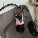 Lili Ocampo - Facebook