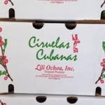 Ciruela Cubana Lili Ochoa - @liliochoainc - Instagram