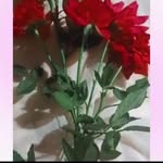 Lili Patel - @lili.patel.188 - Instagram
