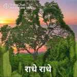 Lili Patel - @lilipatel52 - Instagram