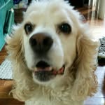 Lili - @lilipearson706 - Instagram