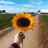 Lili Pérez - @liliprz263 - TikTok