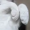 rice.lili.lulu.rere - @rice.lili.lulu.rere - TikTok