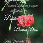 Lili Roman - Facebook