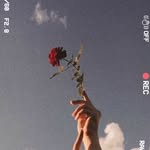 @lili_rowel - Instagram
