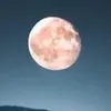 lily - @lilianarusso022 - TikTok