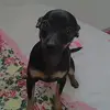 LiliSilva - @lilisilva.com - TikTok