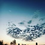 Lili Silvera - @mi_arte_espontaneoo - Instagram