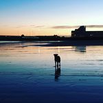 Lilly Symonds - @lilisims98 - Instagram