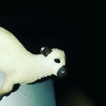 gvhftgegvdgvdgv - @lili_skinner - Instagram