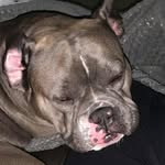 Lili-Rose Thompson - @lili_thompson12 - Instagram