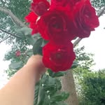 lili_viera - @lili_viera6 - Instagram
