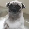 Lili viera - @lili.com55 - TikTok