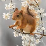 Lili Vincent - Facebook