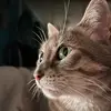 liliwalker - @lili_walker_ - TikTok