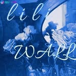 lili__wall - @lili__wall - Instagram