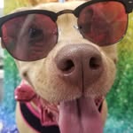 Lili-Mae Parker-Walters - @visios45 - Instagram