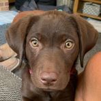 Lily Walters - Facebook