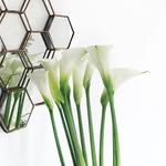 Lili Watson Flowers - @lili.watson.flowers - Instagram