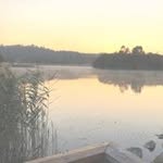 Lili White - @lili_white - Instagram