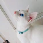 Lili White - @lili_blueeyes_ - Instagram