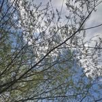 Lili White - @blanita.lilia - Instagram