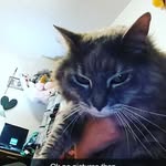 Leilani - @liliwolf15 - Instagram