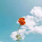 Li - @li_li_young - Instagram