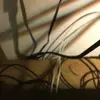 Liliana Abrams - @liliana.abrams - TikTok