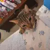 Lilia Arango492 - @liliaarango49 - TikTok
