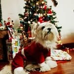 Lilia Arango - @khryst_espichab - Instagram