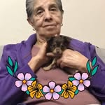 Olvera Herrera Lilia - @liliaolveraherrera - Instagram