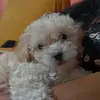 Lilia Serrano - @lilia.serrano5 - TikTok