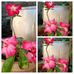 Liliane Benoit - Facebook