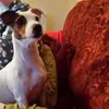 Lilian Hunter - @lilian.hunter6 - TikTok