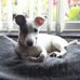 Lilian Hunter - Facebook