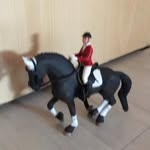 Schleich.Sso.Horse.Lover - @lilianlightgtgirl - Instagram