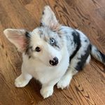 Lilian Reed - @lilian.4567 - Instagram