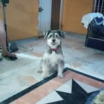 Liliana Bolaños - @liliana.bolanos.161 - Instagram