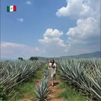 Liliana Cano - Facebook