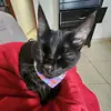 Liliana Cano - @_lilianacano_ - TikTok