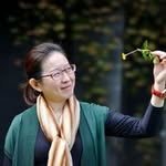 Li-ling Lin - @liling.lin.50 - Instagram
