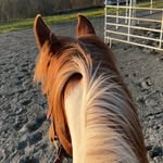 Lilli Bowen 🤟 - @eqli_llian - Instagram
