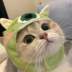 Lilli Chang - Facebook