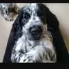 Lilli dean - @lillis_ipad123 - TikTok