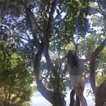 TARZAN (inside Joke) - @lilli_dean_fitness - Instagram