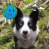 Lilli Edwards - @lilli.edwards7 - TikTok
