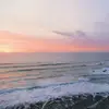 𝓛𝓲𝓵𝓵𝓲 🌴🌊 - @lillievans53 - TikTok